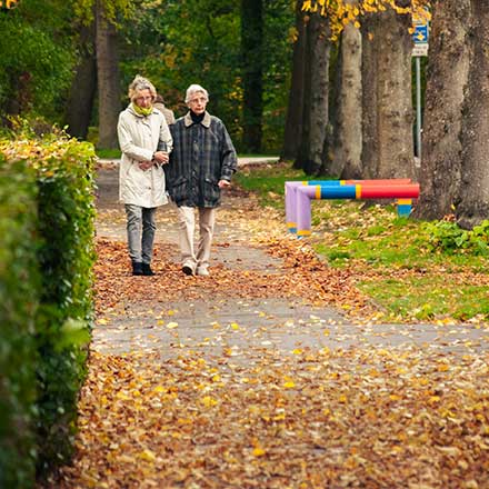 Geriatric Assessment