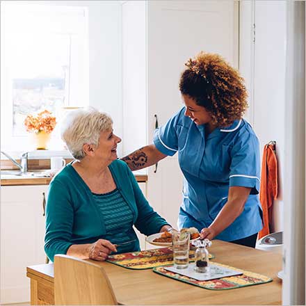 Companionship and Socialization